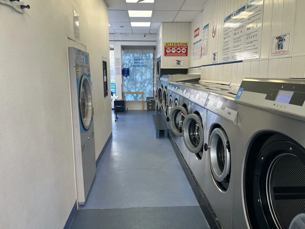 Pressing Swiss Cleaner - photo 2