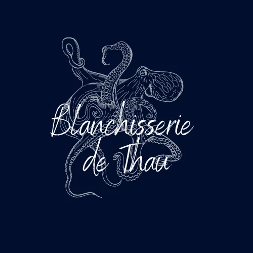 Blanchisserie de Thau - photo 2