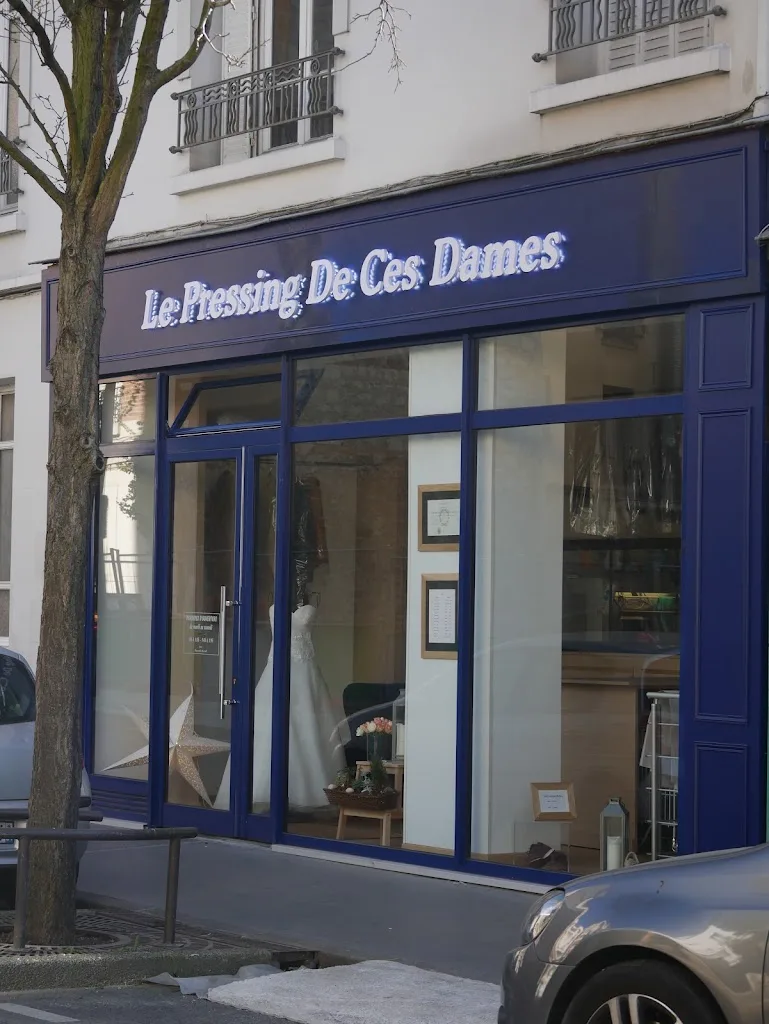 Pressing de ces dames - photo 3