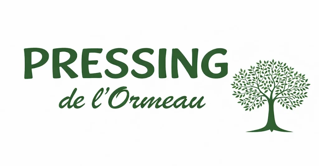 Pressing de L'Ormeau - photo 2