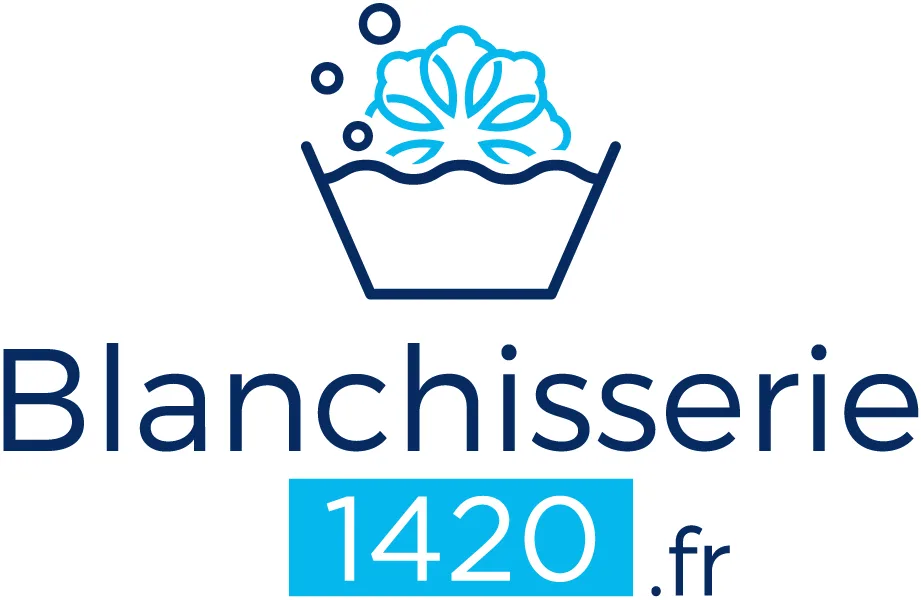 Blanchisserie1420 - photo 1