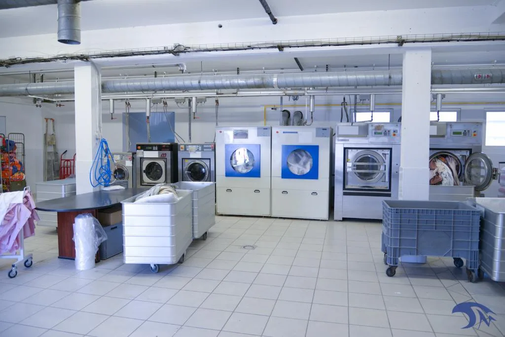 DAILYWASH - photo 1