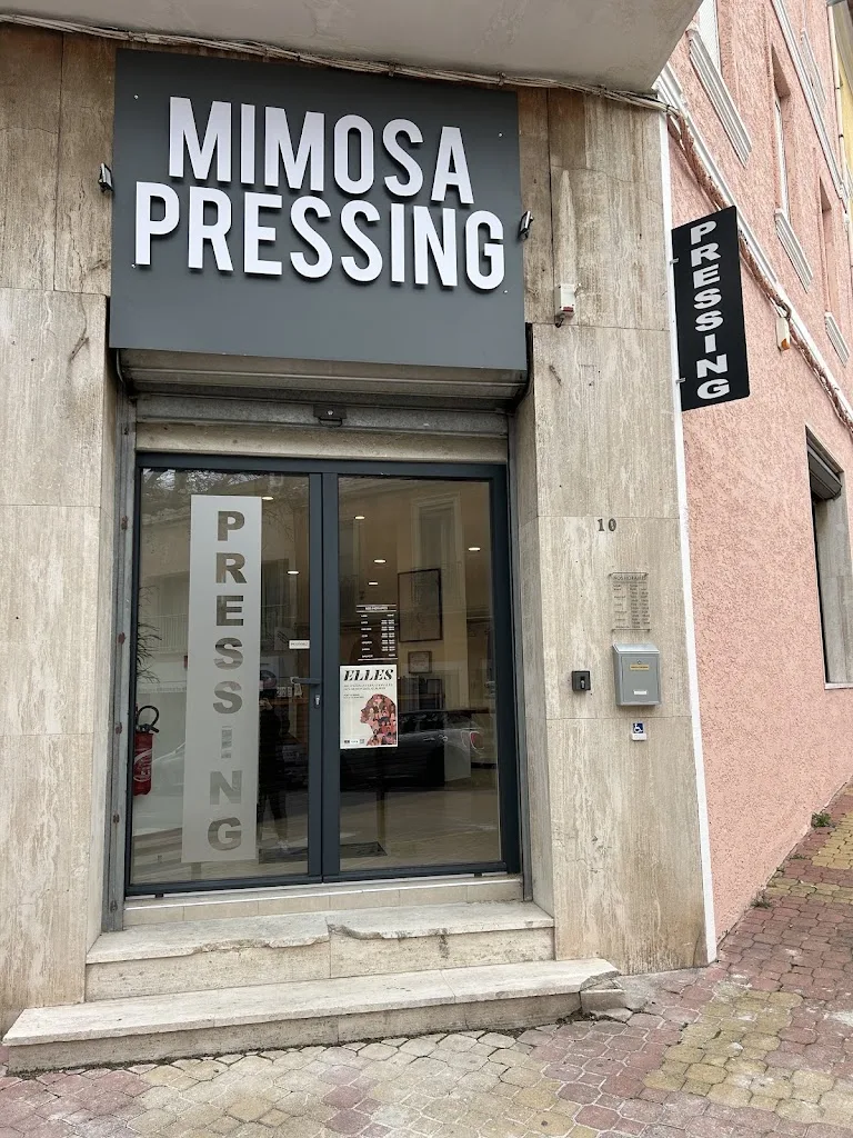 MIMOSA PRESSING - photo 2