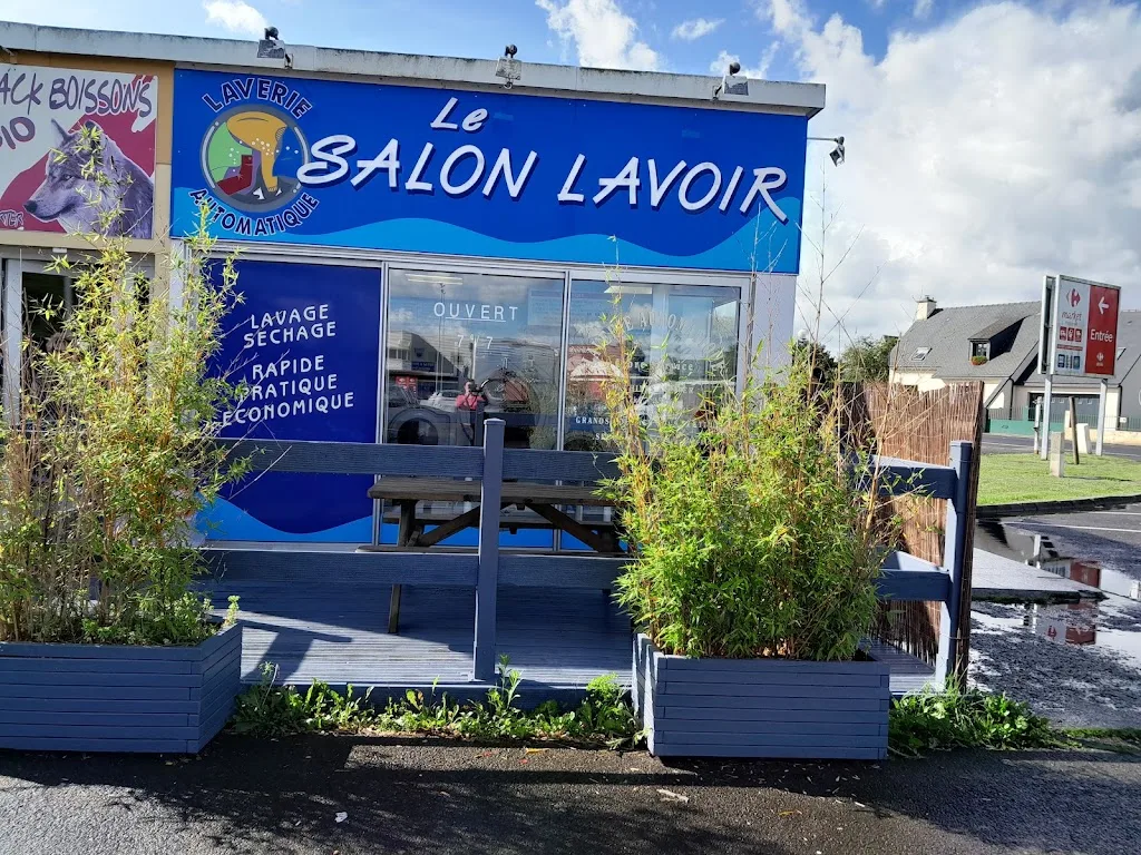 LE SALON LAVOIR - photo 1