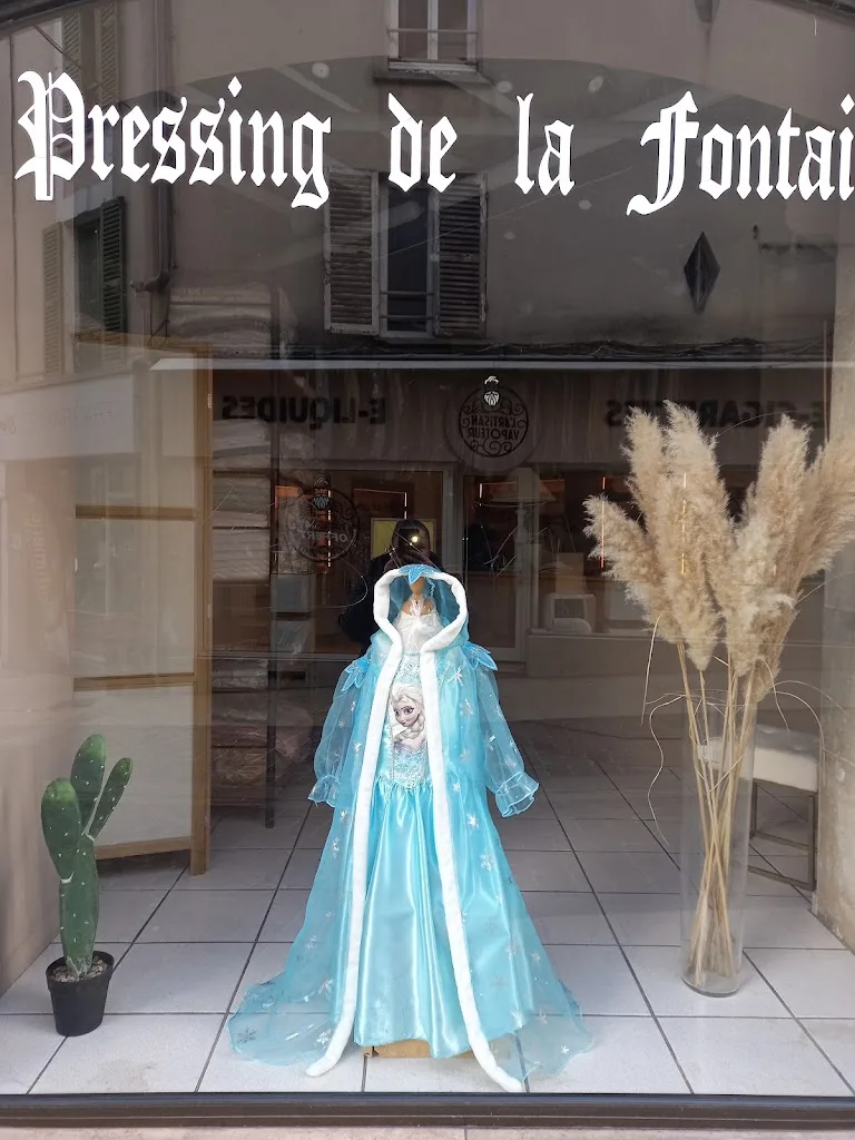Pressing de la fontaine - photo 1