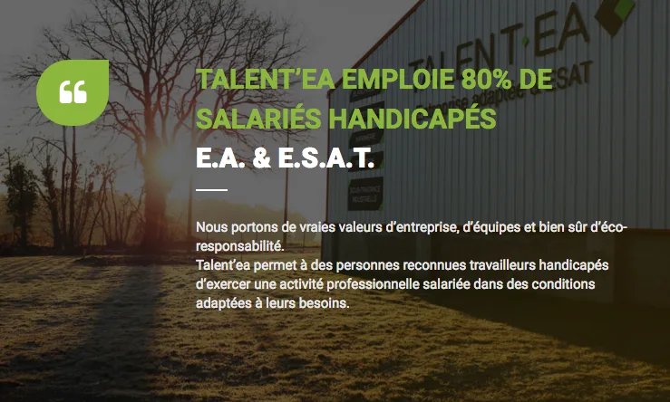 Talent'ea | ESAT & Entreprise Adaptée - photo 3