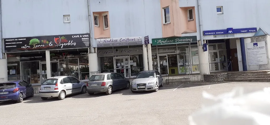 Anduze Pressing - photo 3