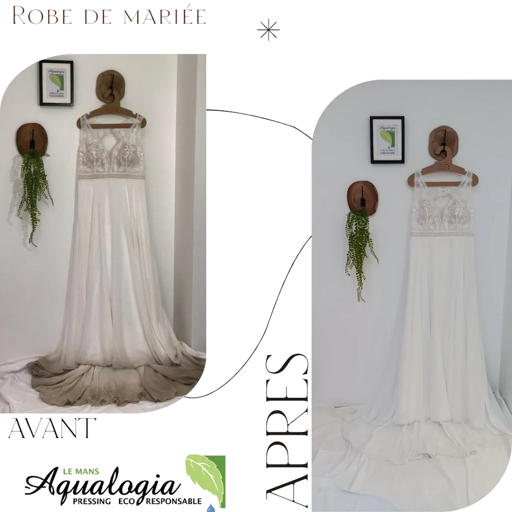 Pressing Aqualogia Eco-responsable - Le Mans - photo 2