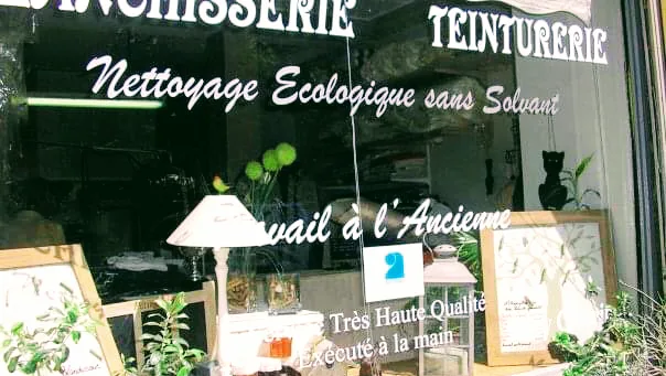 Pressing Ecologique/Laundry DALPOZZO - photo 1
