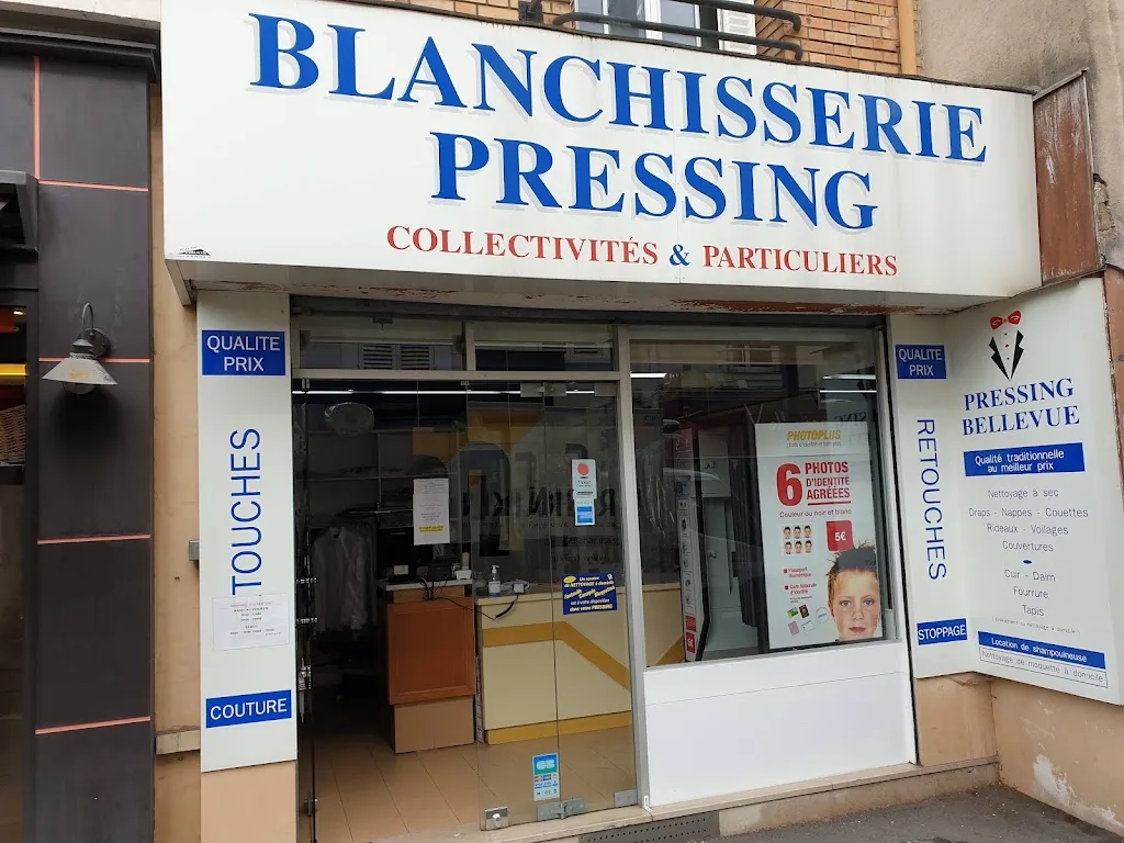 Pressing Bellevue - photo 1