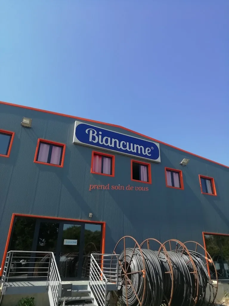 Blanchisserie Industrielle de Hte Cors - photo 1