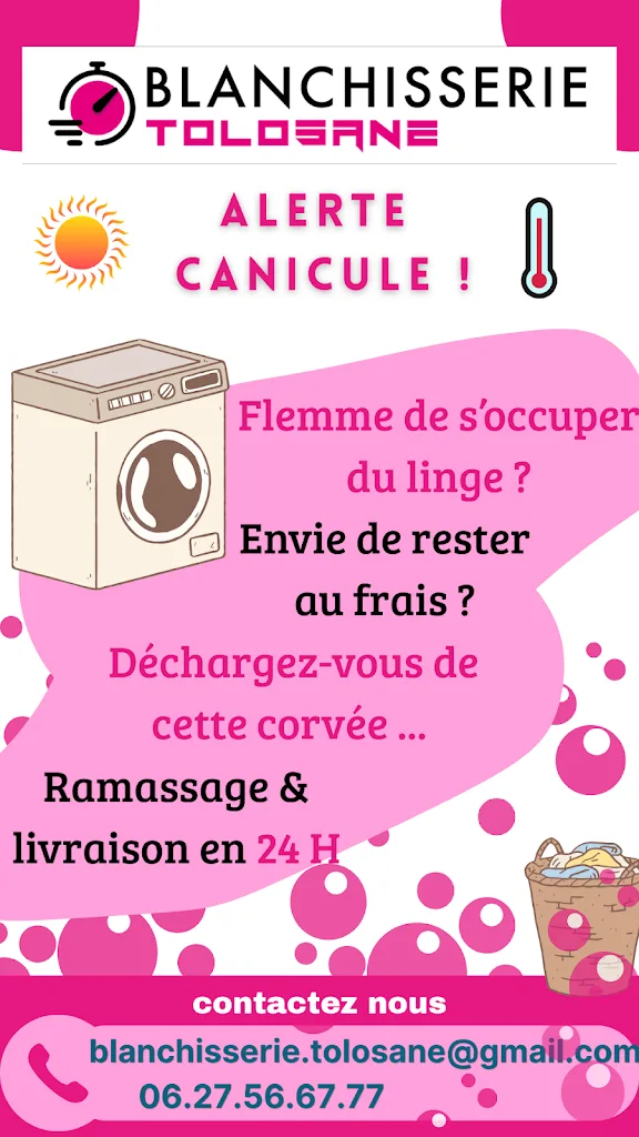 Blanchisserie Tolosane à Toulouse - photo 3