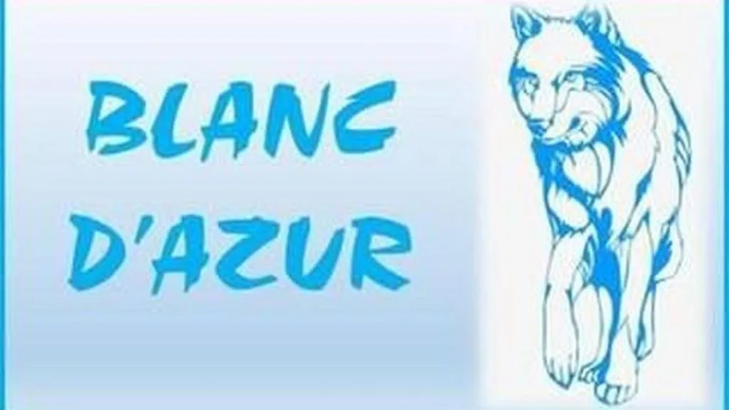 Blanchisserie Blanc d'Azur - photo 1