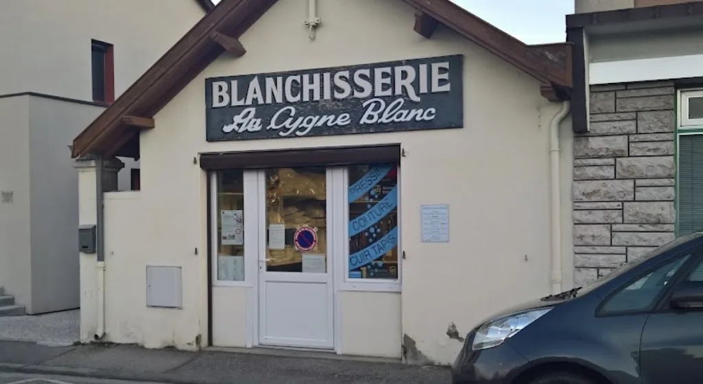 Le cygne blanc - photo 1